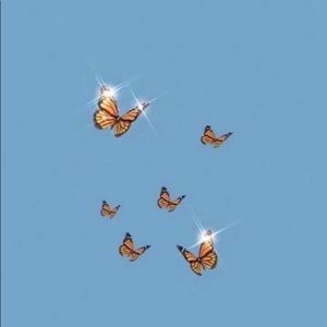 Meet your Posher, Meg